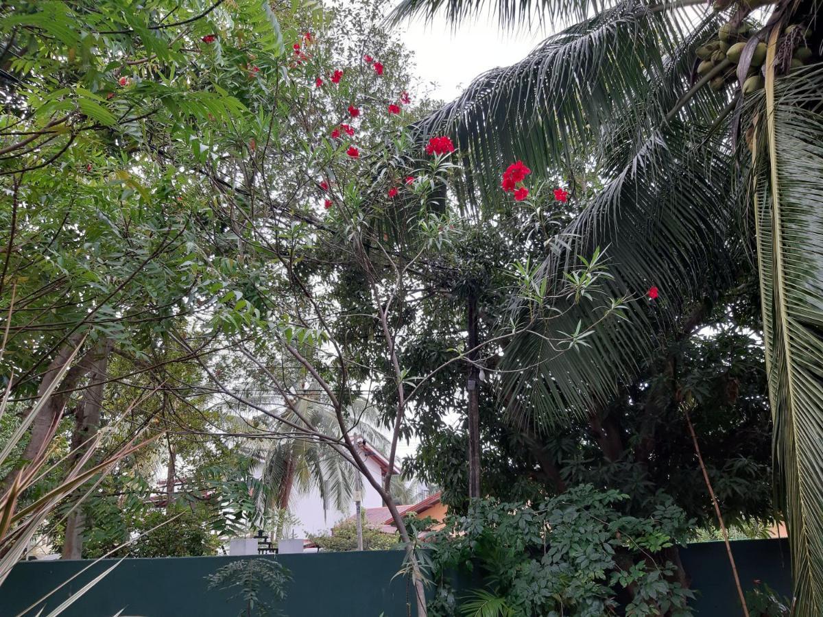 Hellen Homestay Negombo Kültér fotó