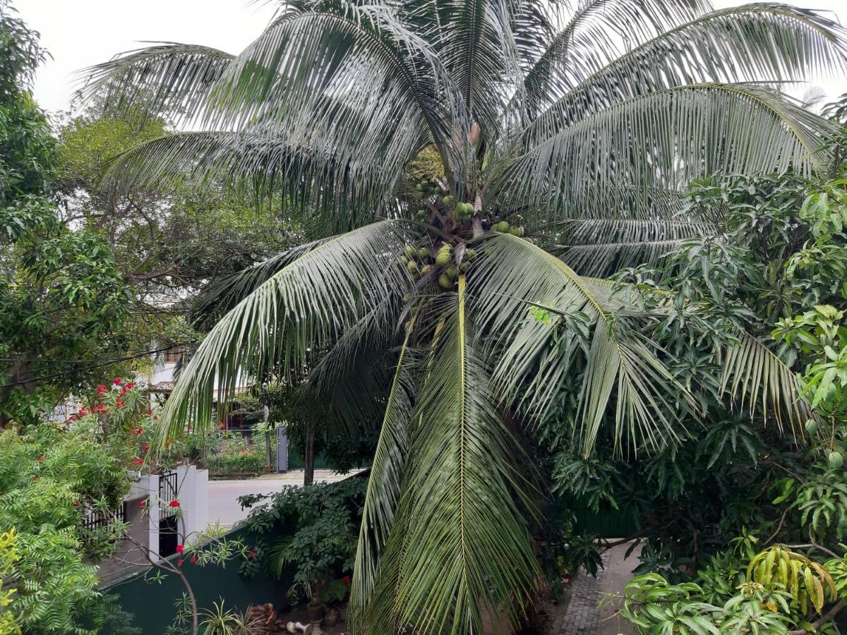 Hellen Homestay Negombo Kültér fotó